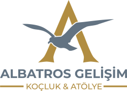 ALBATROS NORMAL KENDİ RENGİ HARİÇ TÜM ZEMİNLERE (1)